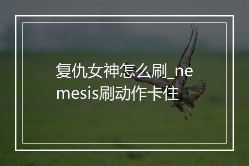 复仇女神怎么刷_nemesis刷动作卡住