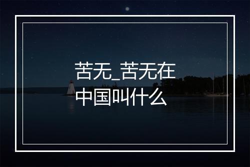 苦无_苦无在中国叫什么
