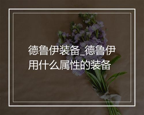 德鲁伊装备_德鲁伊用什么属性的装备